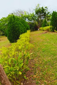 Lehuo Shoudo Moli Homestay - Image 4