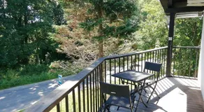 Waldhaus Pat - Image 4