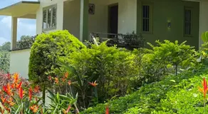 Ayurnest Pool Resort Wayanad - Image 3
