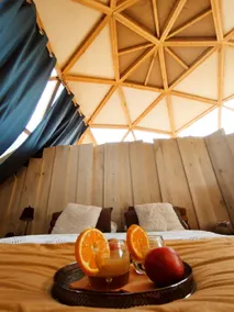 Geodesic dome! Last-minute PROMO! - Image 3
