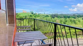 Rural El Bosque - Image 2