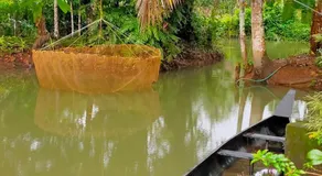 Families Couples Friendly Stay Pool Day Ettumanoor Thellakom 7994!64950 - Image 3
