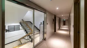 lazy tiger hotel - Image 4