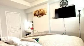 Room in niagara falls Pluto studio - Image 2