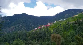 V Resorts Glamwoods Resort Dhanulti - Image 4