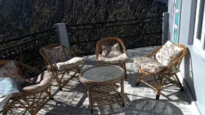 Serene & Tranquil homely stay at Kotgarh, Shimla - Image 5
