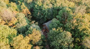 Cheerful Two Bdrm Cabin with Hot Tub & Pet Friendly - Image 5