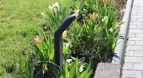 Pension Wiesner - Image 2