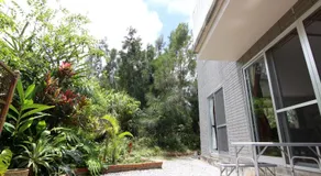 Monstera - Image 4