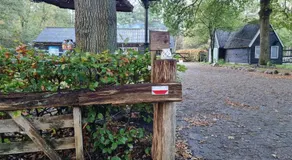de Tweelingen - Image 5