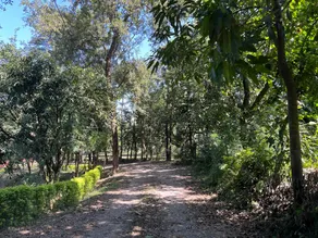 Carbery Acres - Image 5