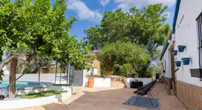 Casa los Laureles - Image 4
