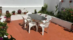 Jardim - Image 5