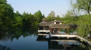 Rock&Wood Cozy House - Image 5
