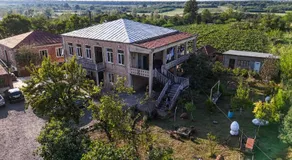 Baias Wine - Image 4