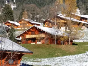 Chalet in Chatel near Les Portes du Soleil - Image 3