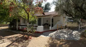 Peter's Village - Image 3