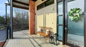 Lamar Treehouse - Image 3