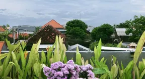 Vee Surf - Image 5