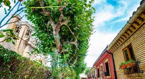 La casa de la abuela - Image 5