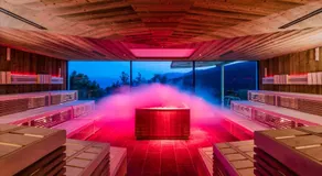 Parkhotel Holzerhof - Image 5