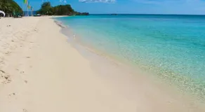 Aloe de Diniwid - Image 5