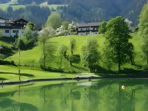 Kienberghof - Image 5