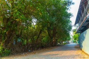 BrightMoon_Homestay - Image 5
