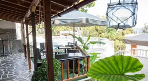 Lions 2 Studios & Apartments, Poros Island. - Image 4