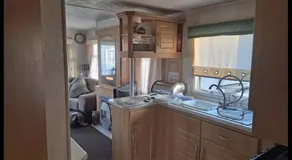 Sherwood golden palm - Image 5