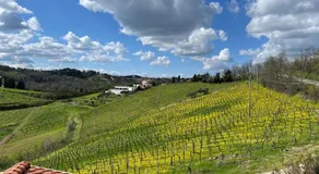 Podere Baratta agriturismo e cantina - Image 5