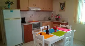 Stolidi - Image 3