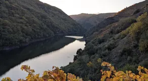 La Casita de la Ribeira Sacra - Image 4