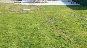 Le petit Morin - Image 5
