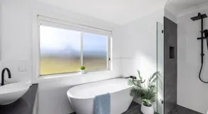 Whale Studio Suite - Image 2