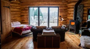Coed y Marchog Woodland Retreat - Image 2