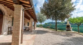 Todi Truffle - Image 5