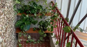 Guan Ma Homestay - Image 2