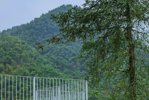 Anji Taoye Homestay - Image 4