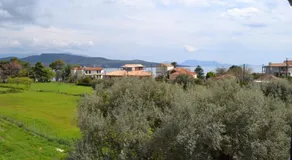 Digenis Studios - Image 5