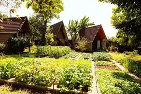 Buon's Garden - Image 5