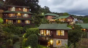 Big Tree House Lodge - Image 5
