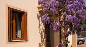 Casa Il Glicine a due passi dal centro - Image 5