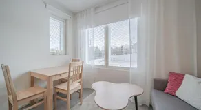 Sisu Stay Studio Jetset Levi - Image 3
