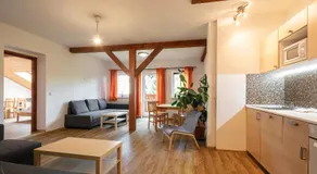 Apartment Vlčice u Trutnova - Image 2