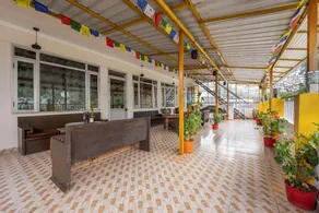 The Bougainvillea, Mcleodganj - Image 4