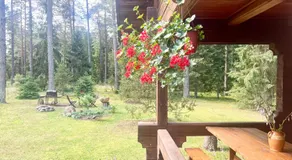 Rojaus Slenis - Image 3
