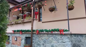 Casa Pleșca - Image 3