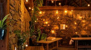 Glamping Hive by Stream - Image 4