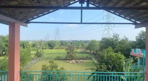 Yana's Farm - Image 4